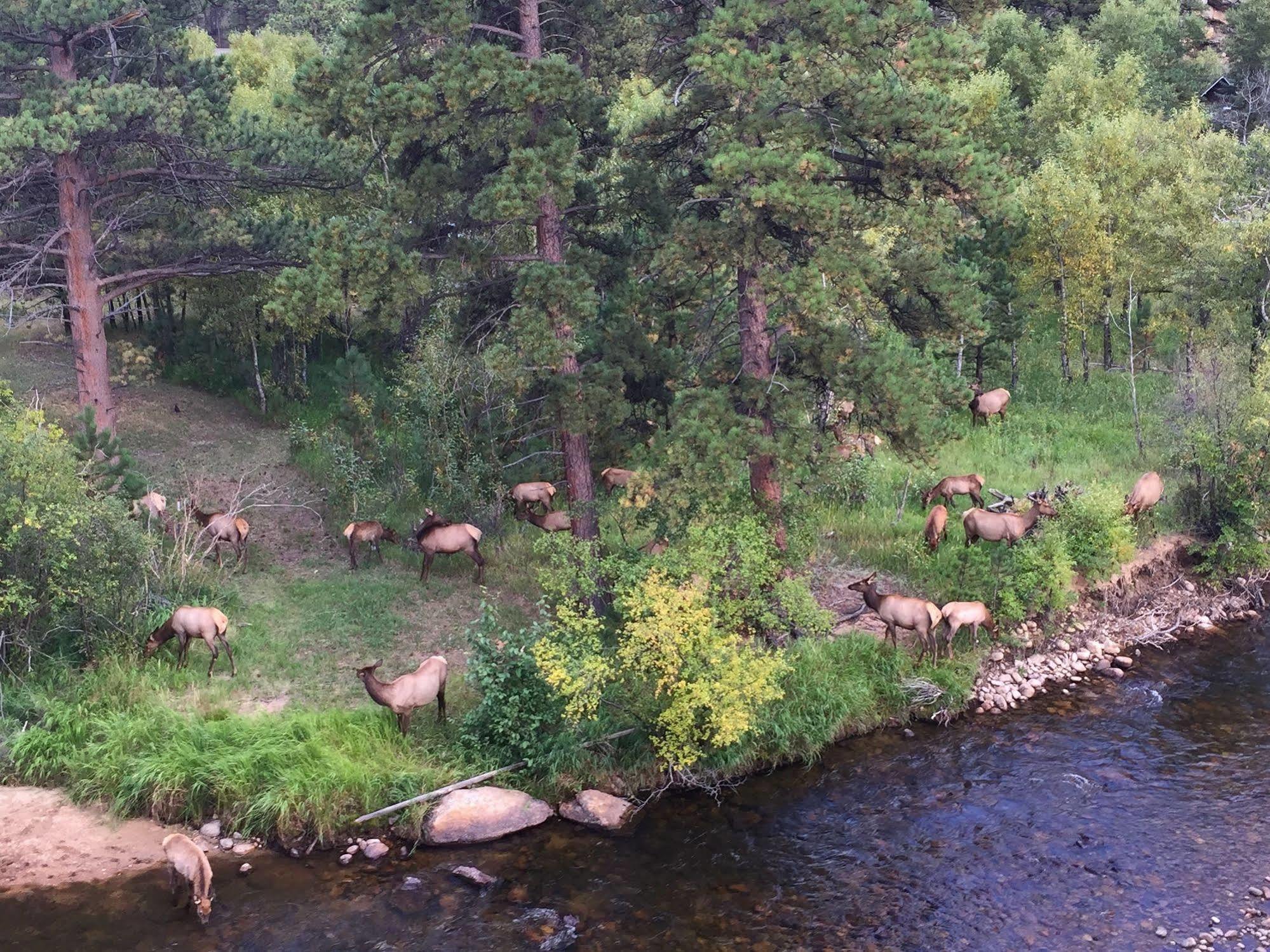 The Landing At Estes Park - Riverside Retreat Hotel Exterior photo